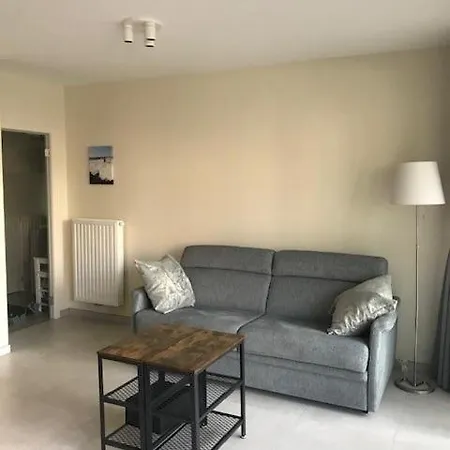 Apartman Renovated With Swimming Pool Within Walking Distance Of The T127 Ostende